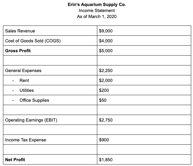 erin-aquarium-income-statement